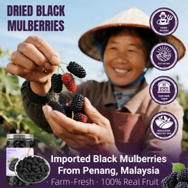 Dried Black Mulberries 8.8oz(250g),245-250 Per Jar,Natural Wild Black Mulberry,Top Grade Premium Mulberries,Dried Mulberry No Added Sugar & No Additives Sand Free,Great Ingredient for Baking Purposes