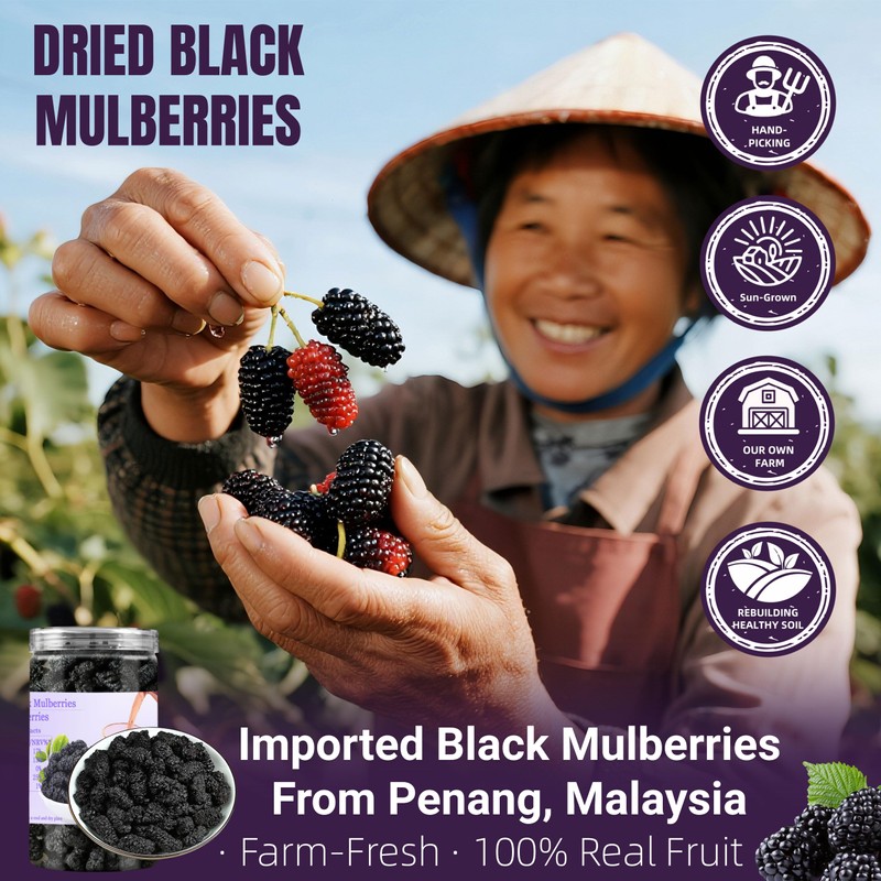 Dried Black Mulberries 8.8oz(250g),245-250 Per Jar,Natural Wild Black Mulberry,Top Grade
