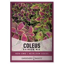 Gardeners Basics Coleus Seeds for Planting (Rainbow Mix) - Heirloom Non-GMO Shade Plants Seeds for Home Gardens, Containers, Hanging Pots, Decorative Borders and More