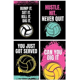 Damdekoli Volleyball Posters - Set of 4 (24 x 36 Inches)