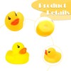 12 Pcs Rubber Ducks, Mini Ducks, Rubber Duck, Mini Rubber