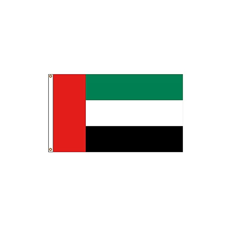 PinkDisplay Aisa flag (UAE)3x5ft(90x150cm) eyelets and double stitches