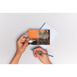 Edition Colibri FUNNY ANIMALS #3: Set of 20 postcards (size 4" x 6") with funny, cheeky and funny animals for collectors and postcrossing