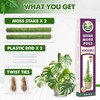 DUSPRO Green Stackable Mesh Moss Pole for Plants Climbing Vine