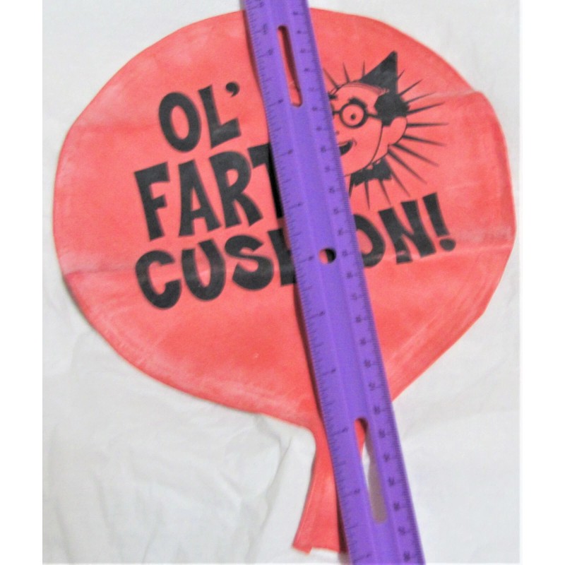 Creative Converting GEEZER Ol' Fart Cushion #053250, 1/pk