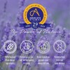Absolute Aromas Frosted Forest Essential Oil Blend - 100% Pure