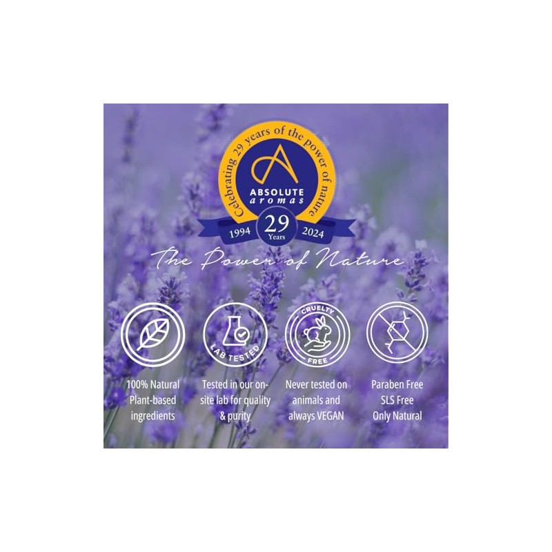 Absolute Aromas Frosted Forest Essential Oil Blend - 100% Pure