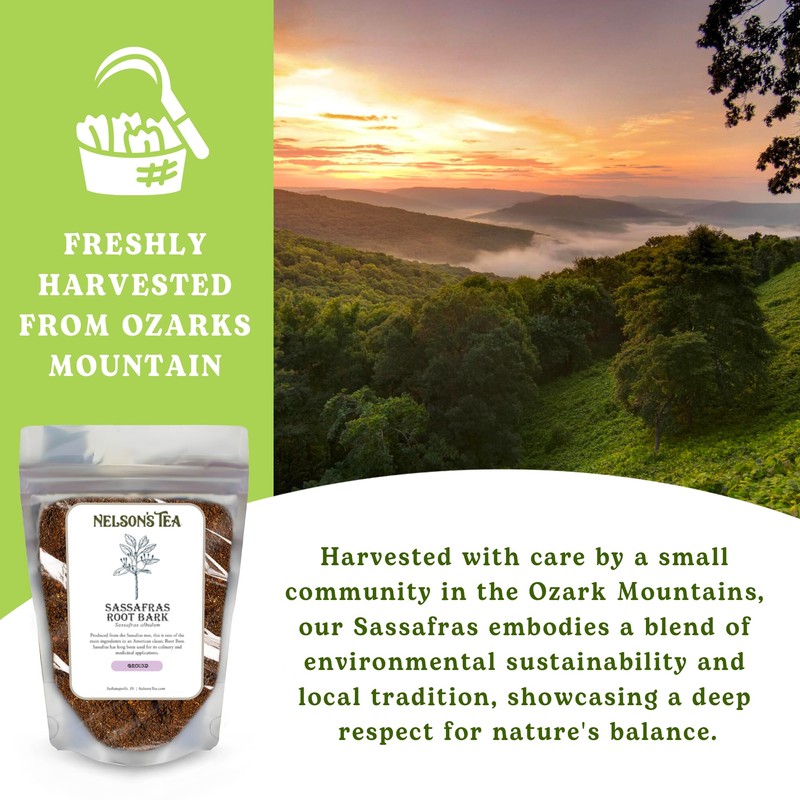 Nelson's Tea - Sassafras Root Bark - Ground Sassafras Albidum