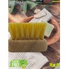 Maaj Set of 2 Nail Brush/Hand Brush, 14 cm, Wood