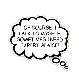 Of Course I Talk To Myself, Sometimes I Need Expert Advice Magnet