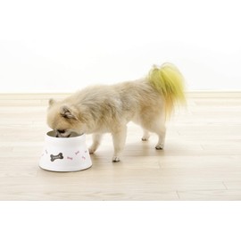 Richell Spill Resistant Dog Dish with Legs White SS Size