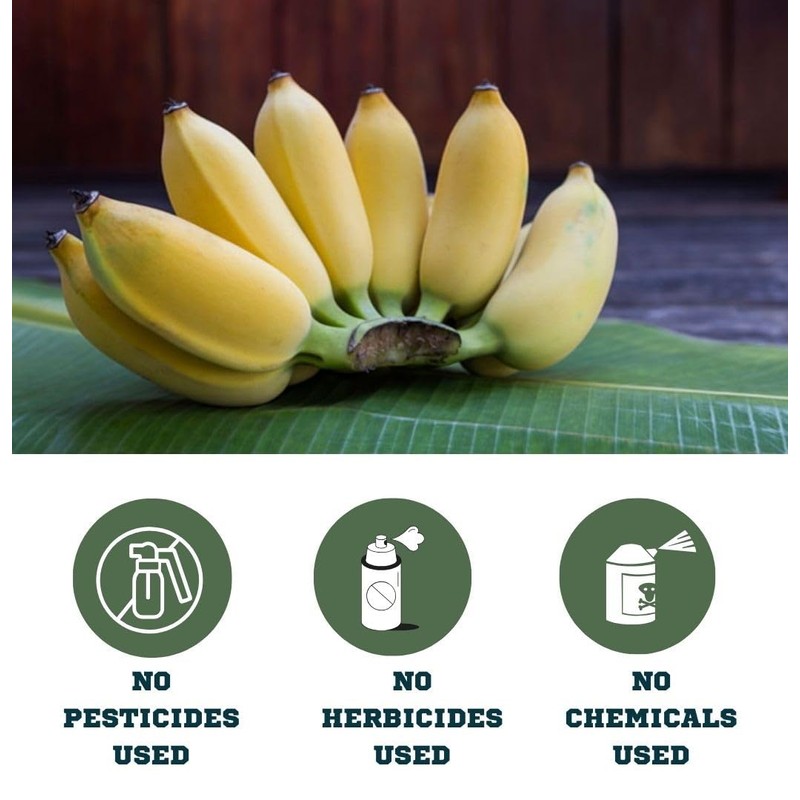 Organic Banana Peel Powder - All Natural One Ingredient 4