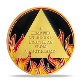 Moneda de sobriedad de 6 años con diseño de llamas doradas, con chip AA y anónimo, para regalo de recuperación de fichas de aniversario, para hombres y mujeres