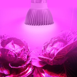 Full Spectrum Led Grow Light High Efficiency Led Grow Light Bulb and Stable Grow Lamp Aluminum School for Home (GU10)