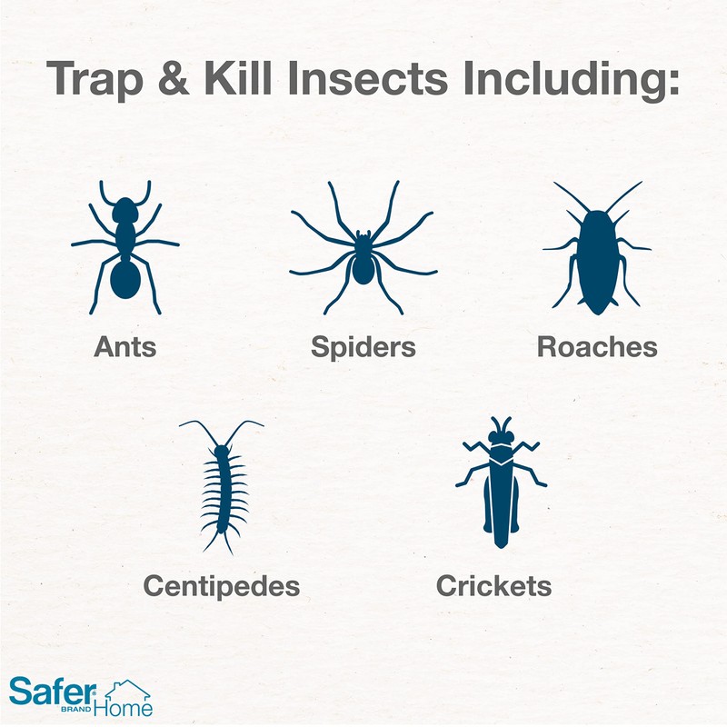 Safer Brand Safer Home SH400SR Indoor Spider, Ant, Cockroach, Centipede,