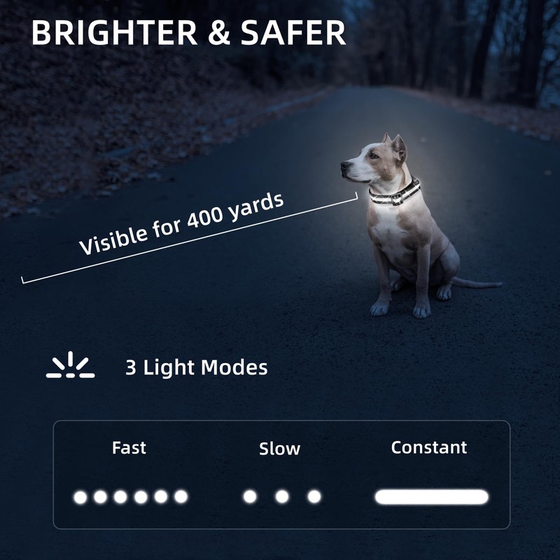 Super Bright LED Dog Collar - Fully Waterproof & Adjustable