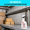 BUGGSLAYER Insecticide RTU Indoor Insect Killer - Kills Spiders, Ants,