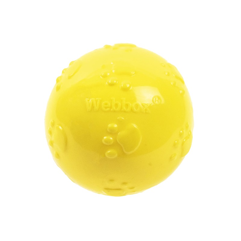Webbox Fun & Squeaky Balls (4 Pack) - Boredom Buster