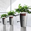 Hazztoll Adjustable Plant Risers for Inside Pot, Planter Insert for