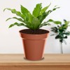 Whitefurze G04018 15cm Garden Pot - Terracotta (Set of 3)