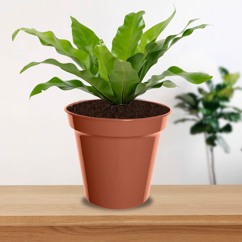 Whitefurze G04018 15cm Garden Pot - Terracotta (Set of 3)