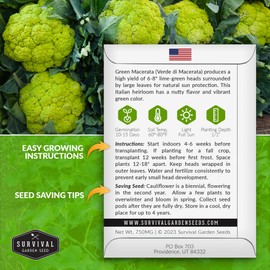 Green Macerata Cauliflower Seed for Planting - 1 Packet with Instructions to Plant and Grow Italian Verde di Macerata in Your Home Vegetable Garden - Non-GMO Heirloom Variety- Survival Garden Seeds