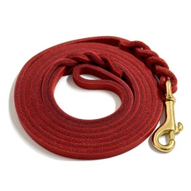 Guiding Star Leather Dog Leash for Small Dogs 6 ft Up to Medium Dogs (1/3 inch Wide, 6 Feet, Red)
