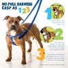 2 Hounds Design - Freedom No-Pull Harness & Training Leash