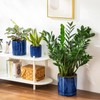 vancasso Ceramic Planters, Plant Pots for Indoor Plants, 6.25+8.25+10.25 Inch