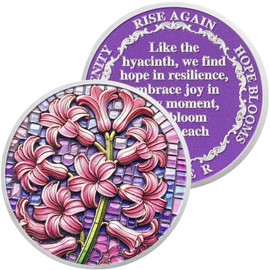 Daffodil Flower Sobriety Coin Gifts Set | Silver AA Medallion with Coin Capsule | Anniversary Token for Men & Women in Recovery | AA Sobriety Gifts Medallion for Month & Year Milestones