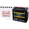 Fire Power Maintenance Free Battery CTX14H-BS Compatible With Honda GL1500CF