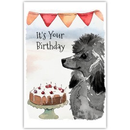Black Poodle Dog Birthday Card