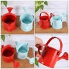 4pcs Mini Watering Can for Kids Watering Can Metal Small