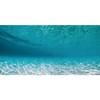 AWERT 48x24 inches Undersea Aquarium Background Pool Ocean Floor Aquarium