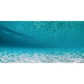 AWERT 48x24 inches Undersea Aquarium Background Pool Ocean Floor Aquarium Background Underwater Fish Tank Background