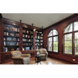 Nuvo 62/1107 12W LED Adjustable Taper-Back Monopoint Ceiling and Wall Spotlight, 2.75" x 4.75" x 4.5", Black