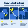 PetSafe Nylon Leash - Strong Nylon for Everyday Walks -