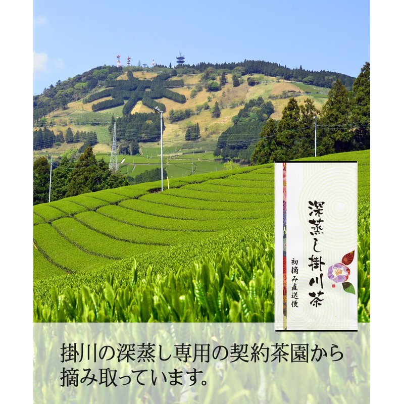 Shizuoka Prefecture First Picked Ichiban Tea 100% Green Tea Leaf