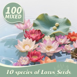 10 Unique Varieties Lotus Seeds for Planting - 100pcs Mixed Colors, High Germination, Easy to Grow, Includes Detailed Planting Guide, Perfect for Ponds, Water Gardens & Gifts