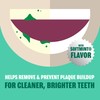 Plax Oral Rinse Mouthwash, Daily Mouth Rinse Designed Specifically for