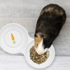 Navaris Double Food Bowl for Small Animals - Ceramic Food