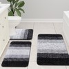 Arotive Microfiber Bathroom Rugs, Shaggy Soft and Absorbent Bath Rug,