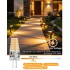 BAOMING G4 LED Bulb 12V 10 Pack 2700K Warm White
