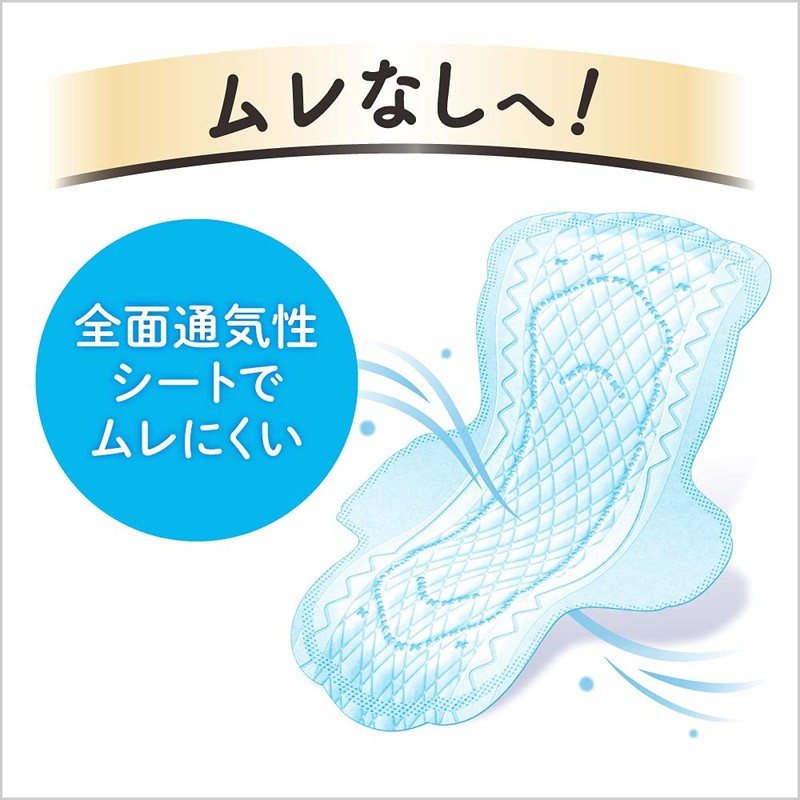 Laurier Slim Guard for Daytime with Wings, 8.1 inches (20.5