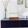 KONTONTY 1set Glass Bud Vases Stand for Hydroponic Plant Propagation