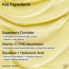 Youth To The People Superberry Dream Mask Travel - Hyaluronic