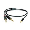 Digiflex HIN-1K-2P-10 Performance Series 10' Pro Splitter Cable, Mini TRS-2