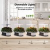 Litake 12 Pods Hydroponics Growing System Indoor Garden with 3