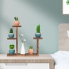COOGOU Wooden Tabletop Plant Stand - 5 Tier Succulent Plant