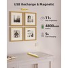 EZVALO Picture Light for Wall, 4800mAh Rechargeable Wireless Remote, 16in